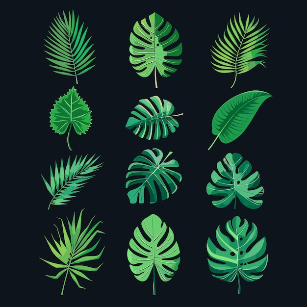 Assorted tropical green leaves illustration on a black background