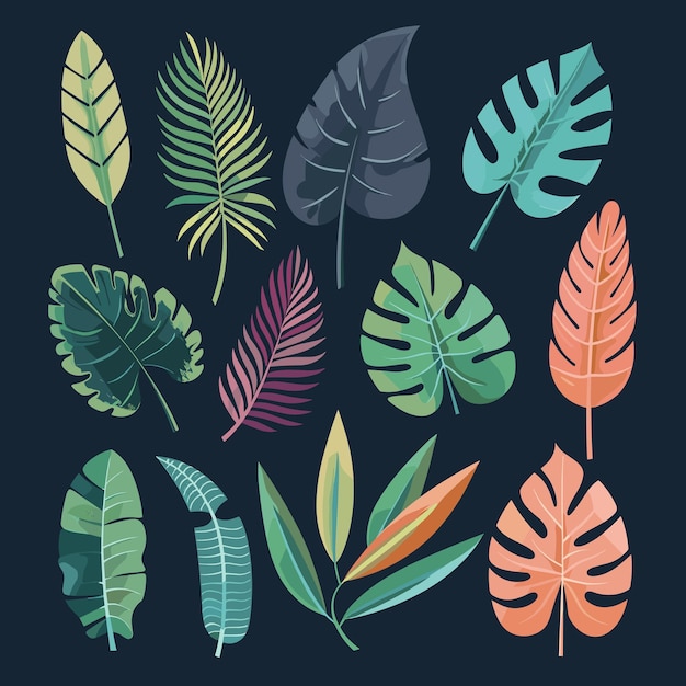 Assorted tropical leaves in vibrant colors on a dark background