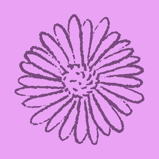 Aster Flower Hand Drawn Illustration