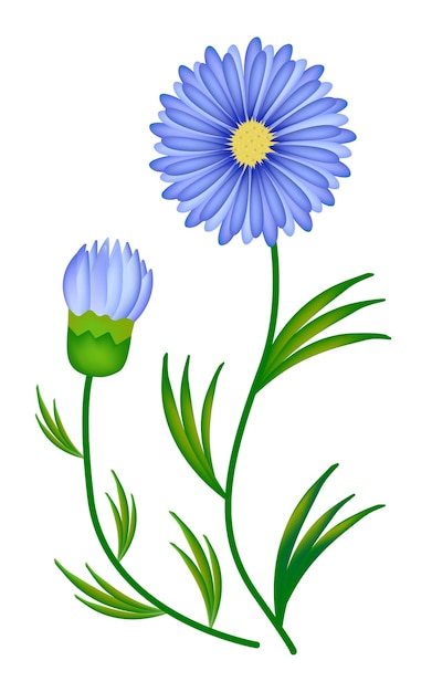 Asters with leaves colorful gradient illustration