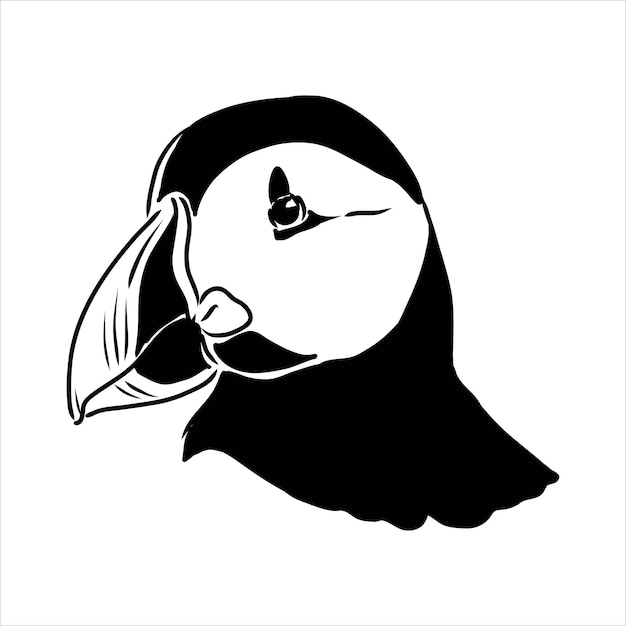 Atlantic puffin or common puffin illustration drawing engraving ink line art vector