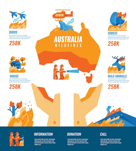 Australia wildfires infographics.