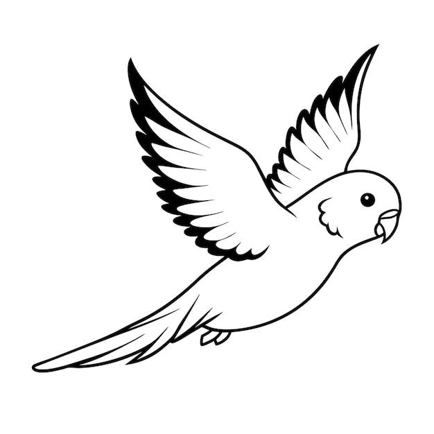 australian budgerigar flying vector illustration line art