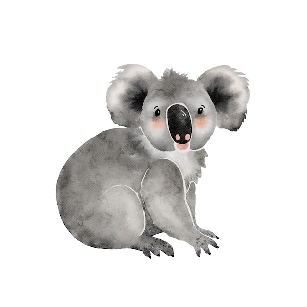 Australian cute koala cartoon animal watercolor illustration