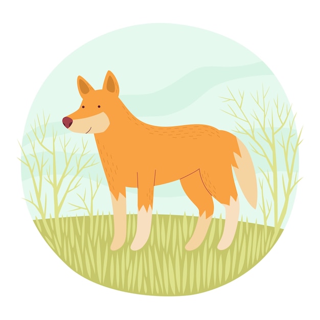 Australian dingo. Endemic. Vector illustration