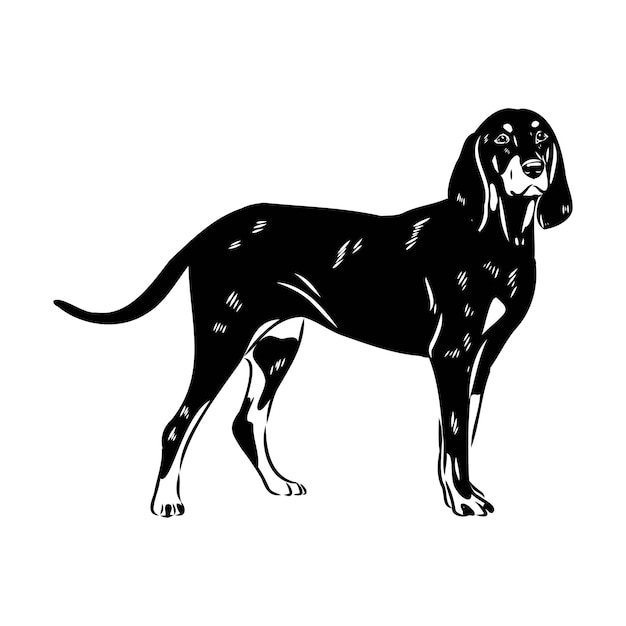 Vector austrian black and tan hound austrian brandlbracke vector