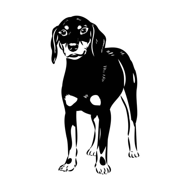 Vector austrian black and tan hound austrian brandlbracke vector