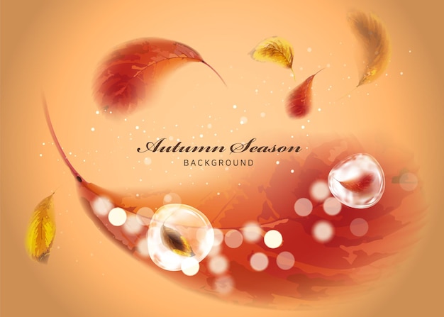 Autumn atmosphere background decorated with red fallen leaves