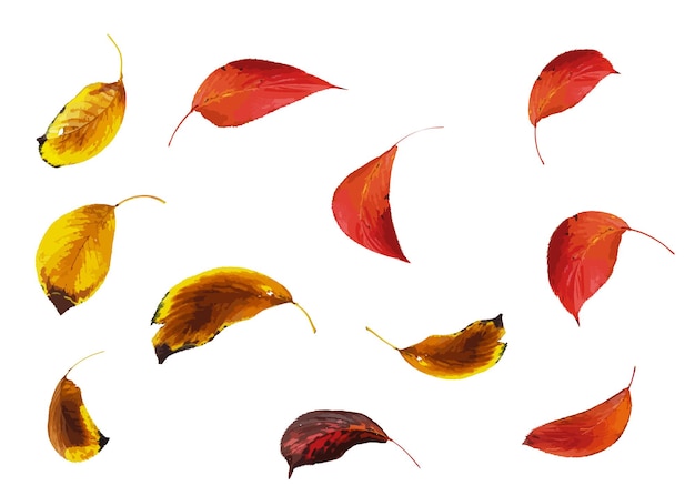 Autumn atmosphere background decorated with red fallen leaves