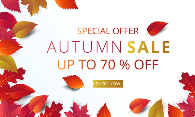 Autumn background banner template 