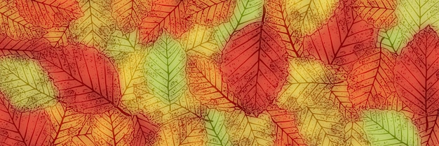 Autumn background of leaves vector design