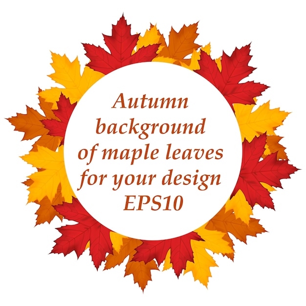 Autumn background of maple leaves around. Vector