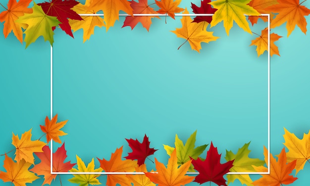 Autumn background poster design for sale decorated with colorful leaves