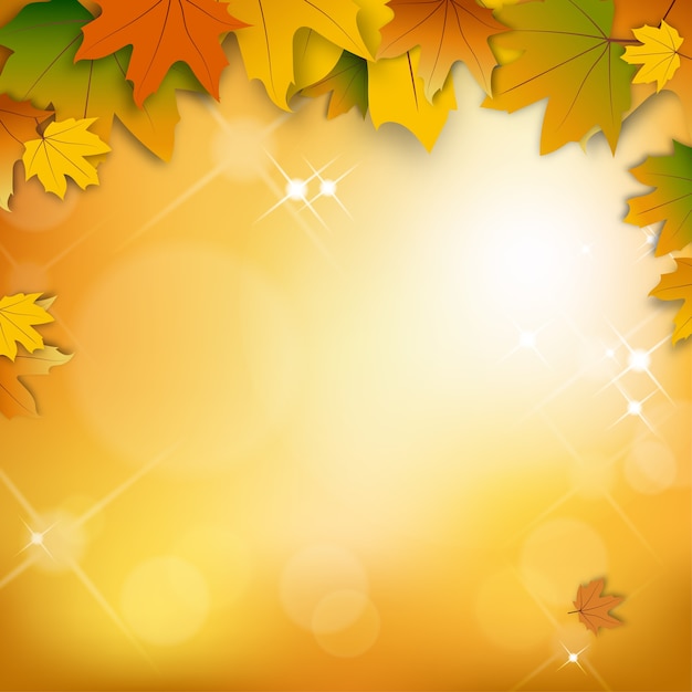 Autumn background with bokeh effect