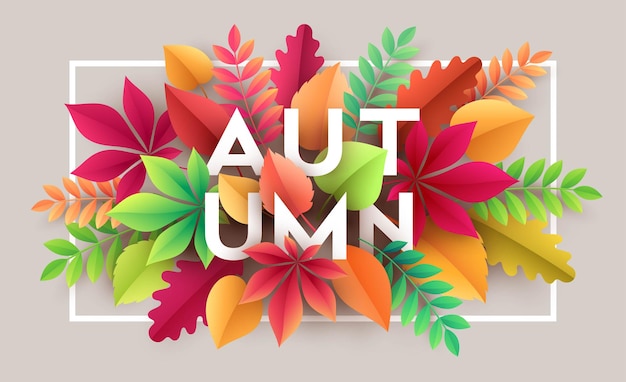 Autumn background with fall leaves