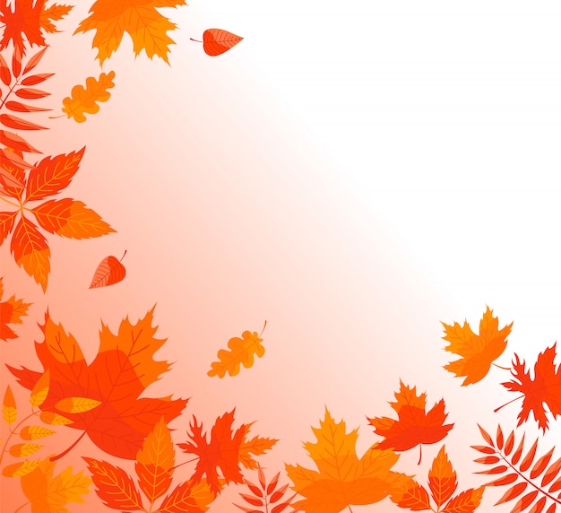 Autumn background with fallen leaves.