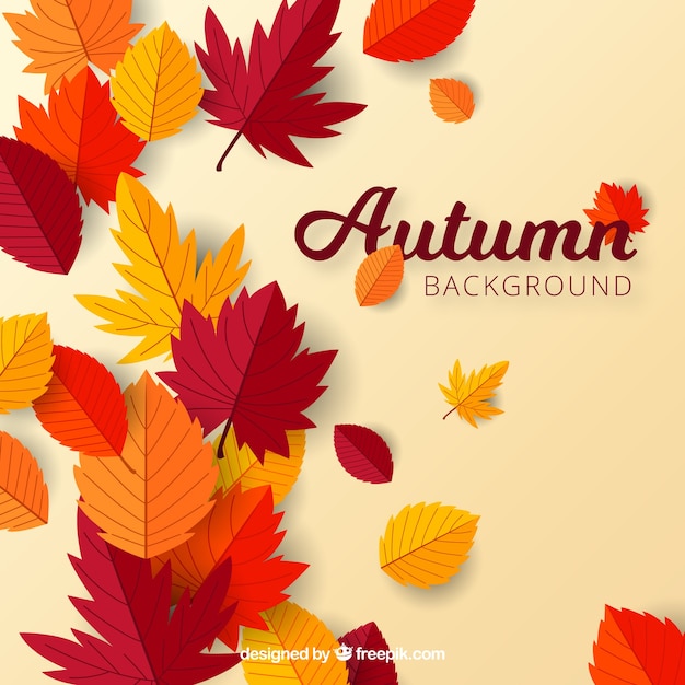 Autumn background with flat leaves