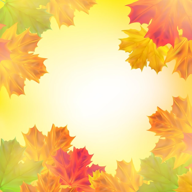 Autumn background with leaves Realistic maple tree leaves with sunlight for poster banner advert