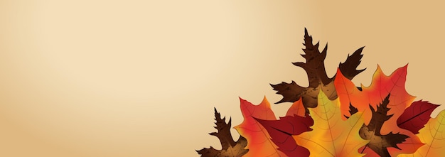 Autumn Background with leaves for shopping sale or promo poster and frame leaflet or web banner