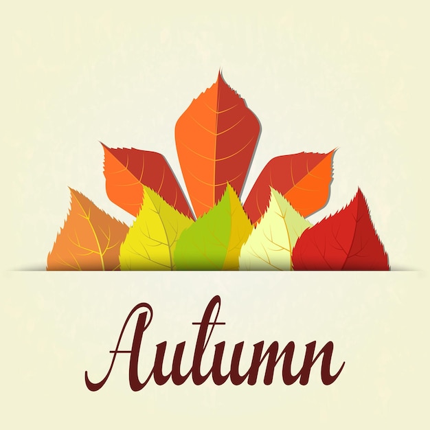 Autumn background with leaves