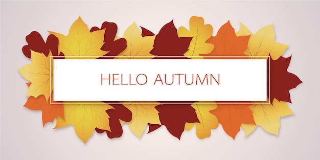 Autumn background with multicolor leaves