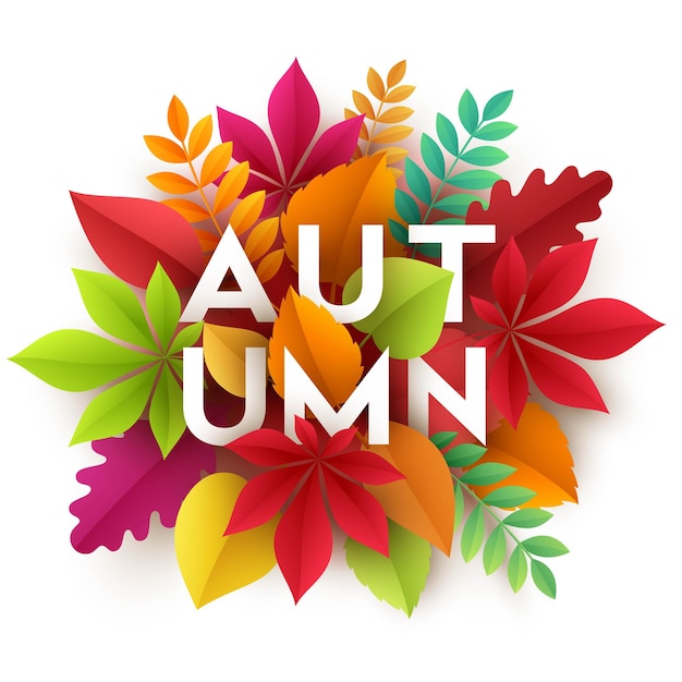 Autumn banner background with paper fall leaves. Vector illustration EPS10