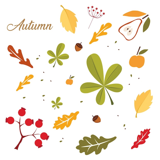 Autumn banner with text leaves and fruits on a white background with copy space