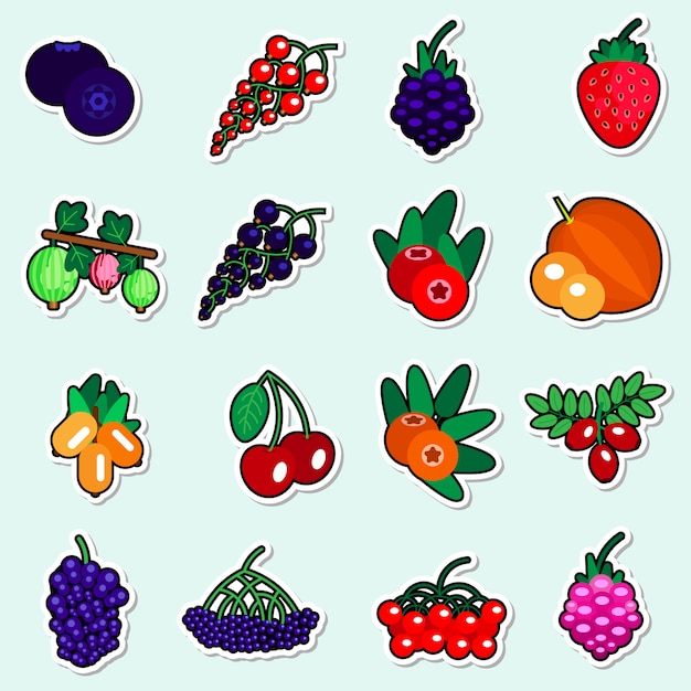 Autumn Berries Stickers Set On Blue Background Colorful Fruit Icons Collection