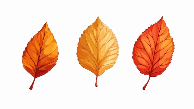 Autumn Birch Leaves Vector Illustration