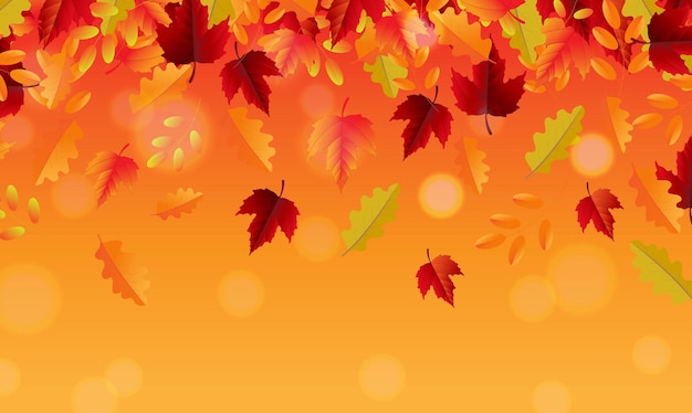 Autumn Border And Leaves And Orange Background With Bokeh With Gradient Background, Vector Illustration