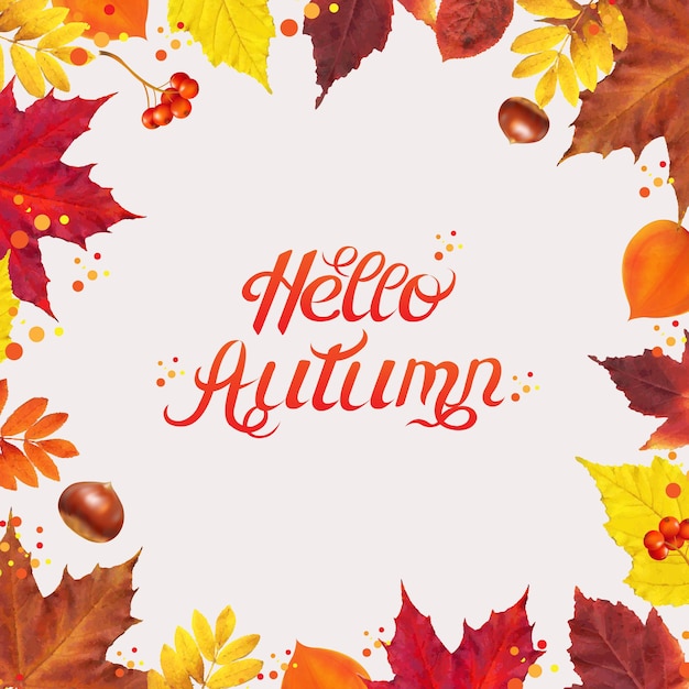 Autumn Bright Border With Leaves , Vector Illustration