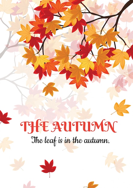 The autumn card