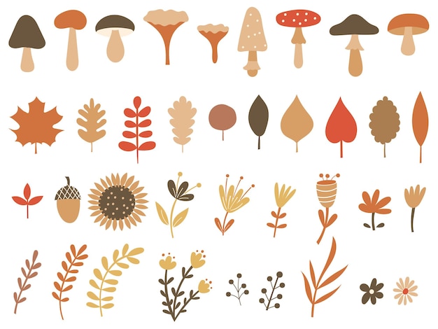 Autumn clipart with mushrooms and florals. Vector illustration.