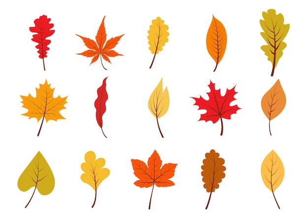 Autumn colorful leaves set. Yellow, orange, red foliage collection. Vector illustration.