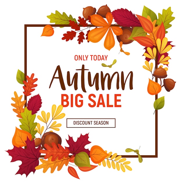 Autumn colorful sale banner with different leaves and branches. Square size