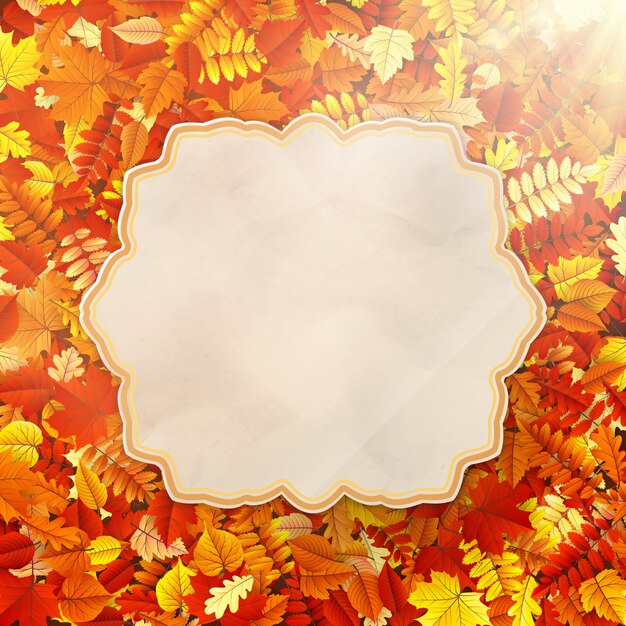 Autumn Concept Background.