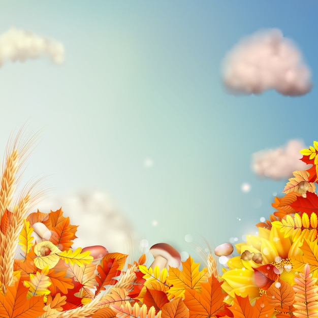 Autumn Concept Background. 