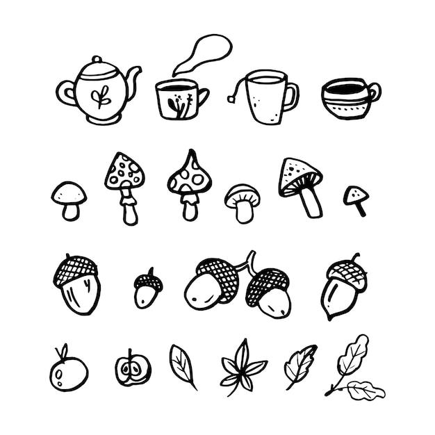 Autumn elements doodle set Vector illustration Forest mushrooms acorns and leaves Warm tea