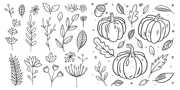 Autumn fall doodle elements and leaves set Hand drawn sketch vector illustration