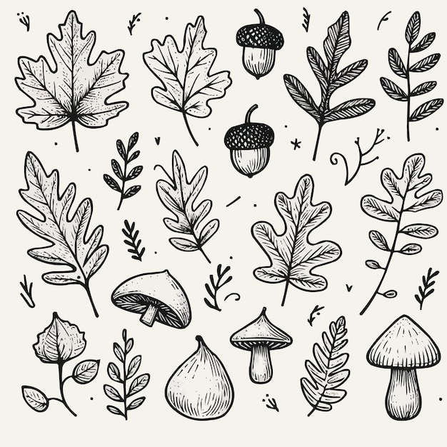 Autumn fall doodle set Hand drawn black color sketch vector illustration