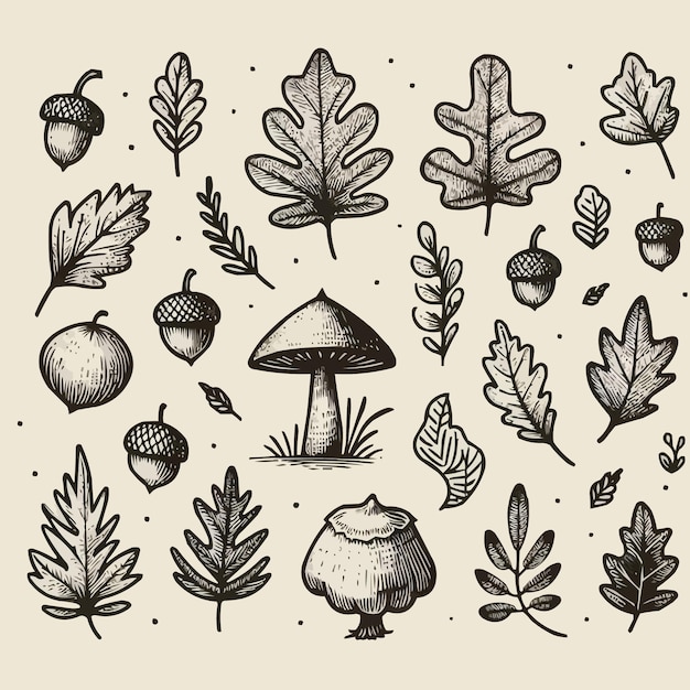 Autumn fall doodle set Hand drawn black color sketch vector illustration