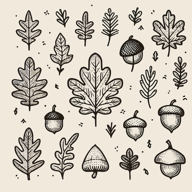 Autumn fall doodle set Hand drawn black color sketch vector illustration