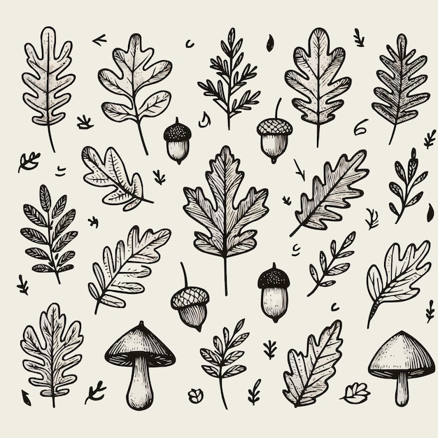 Autumn fall doodle set Hand drawn black color sketch vector illustration