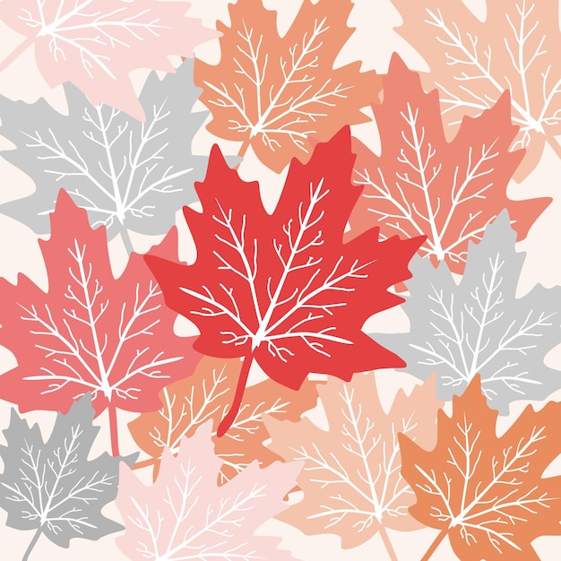 Autumn Fall Maple Leaves Background