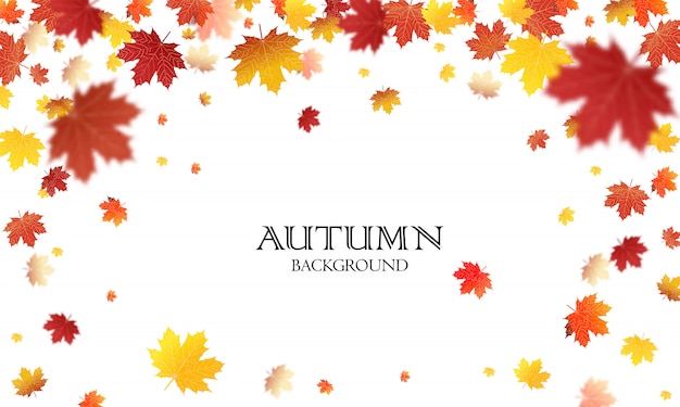 Autumn falling leaves background Vector template. Leaf vector