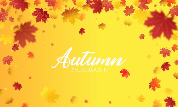 Autumn falling leaves background Vector template Leaf vector