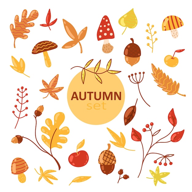 Autumn forest set of hand drawn vector nature images Mushrooms leaves branches and acorns