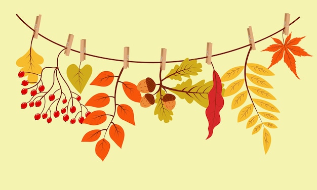 Autumn gifts hanging on the rope attached with clothespin. Vector illustration.