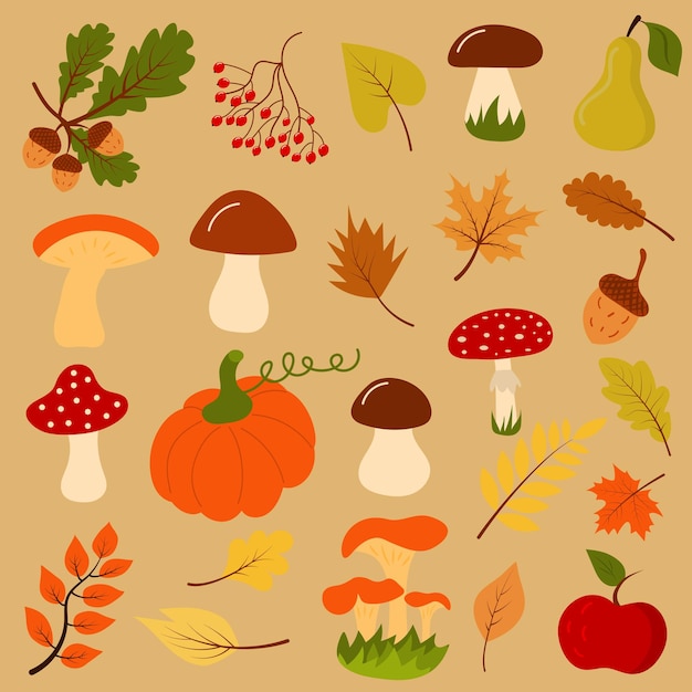 Autumn gifts such as mushroom, pumpkin, acorns, leaves, fruit and berry. Concept is hello autumn.