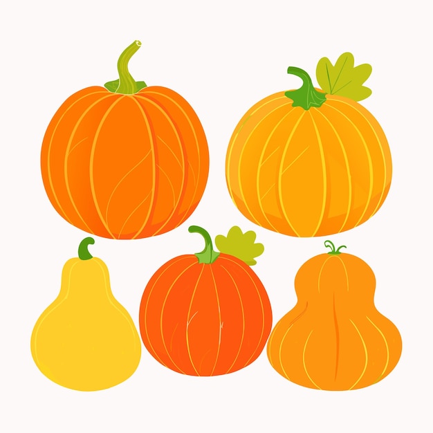 Autumn Halloween pumpkins Harvest festival Set of orange vegetables 4